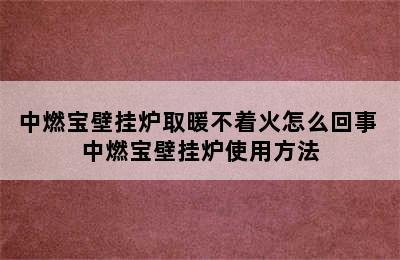 中燃宝壁挂炉取暖不着火怎么回事 中燃宝壁挂炉使用方法